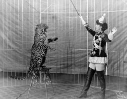 Female animal trainer and leopard c1906